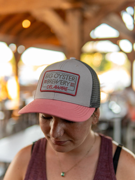 Pink & Grey Snap Back
